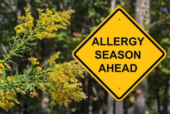 A yellow sign that says Allergy Season Ahead